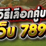 แนะนำวิธีเลือกคู่บอลไหล ในเว็บ 789เบท