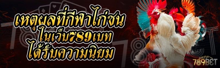 เหตุผลที่กีฬาไก่ชน ในเว็บ 789เบท ได้รับความนิยม