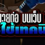 การแทงมวยต่อ บนเว็บ 789bet ควรใช้เทคนิคใด