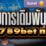 รูปแบบการเดิมพันบาคาร่า บนเว็บ 789bet ที่ถูกต้อง