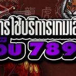 ขั้นตอนการใช้บริการเกมเสือมังกร บนเว็บ 789เบท