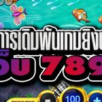 ข้อควรรู้ในการเดิมพันเกมยิงปลาออนไลน์ บนเว็บ 789bet