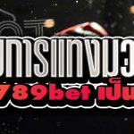 รูปแบบการแทงมวยเดี่ยว บนเว็บ 789bet เป็นอย่างไร