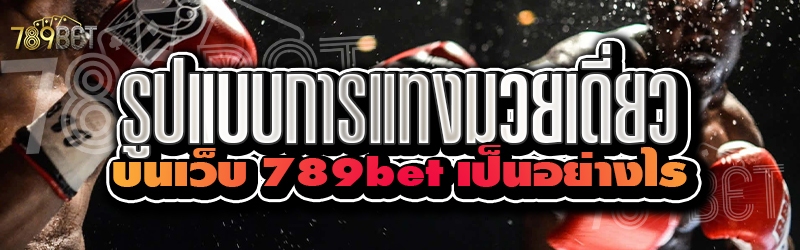 รูปแบบการแทงมวยเดี่ยว บนเว็บ 789bet เป็นอย่างไร