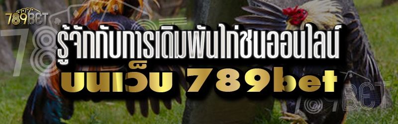 ไก่ชนออนไลน์